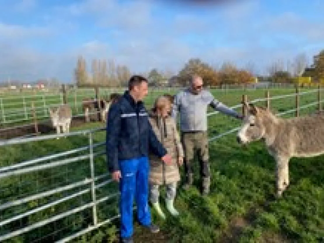 ezels verzorgen vrijwilligers