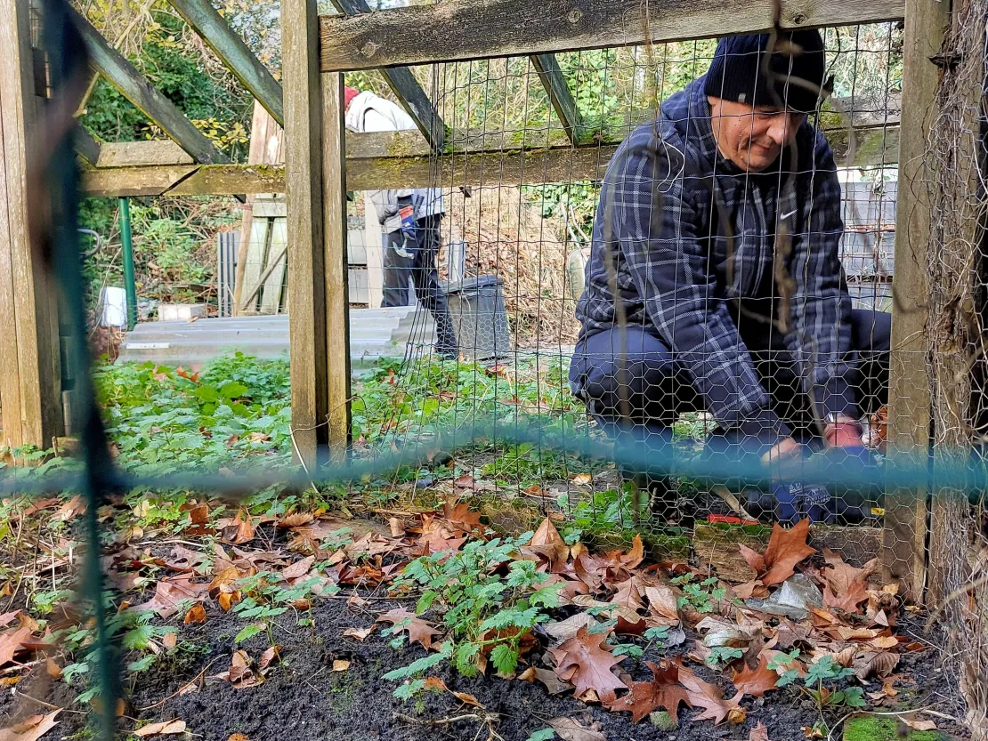Stappen vzw vrijwilligerswerk