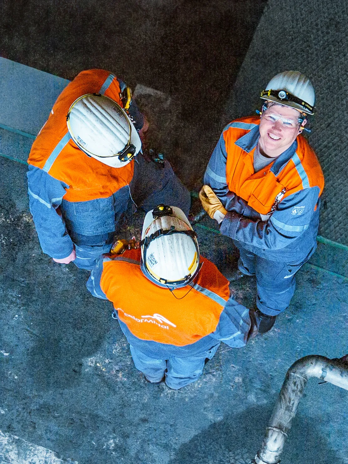 Ingeborg et ses collègues