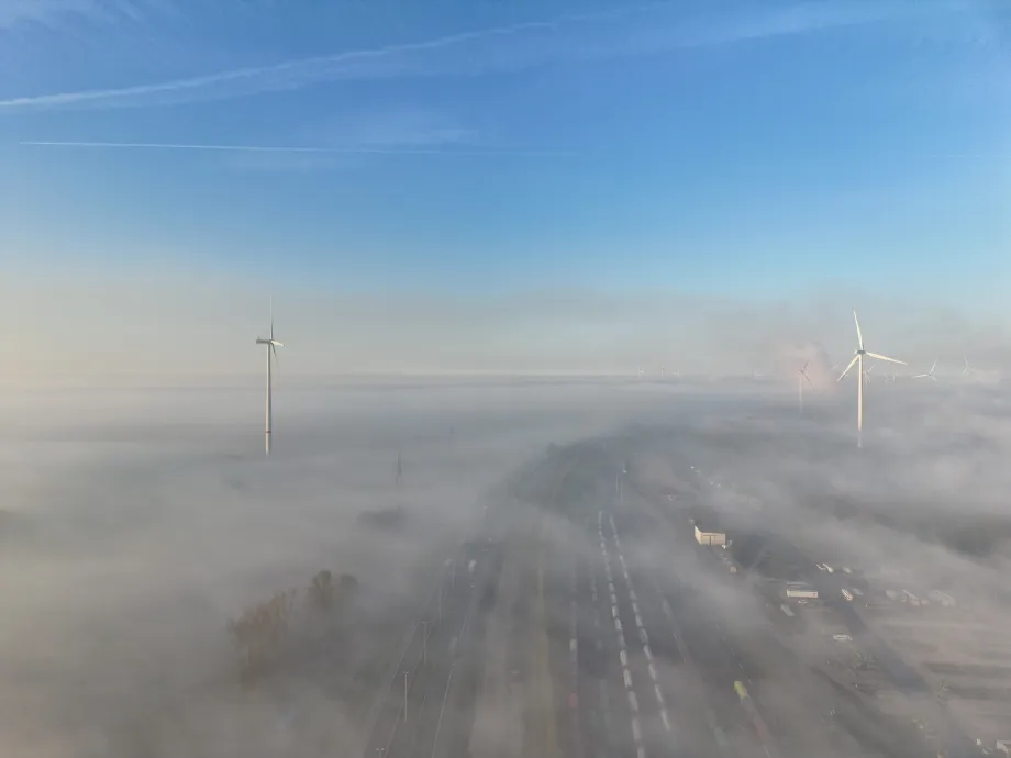 low-lying morning mist